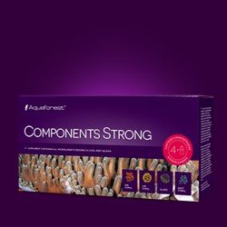 Components Strong 4x250 ml