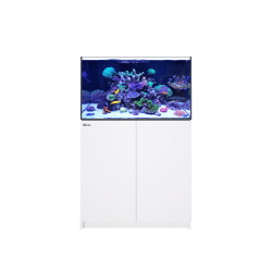 Red Sea Reefer 250 G2+ negro