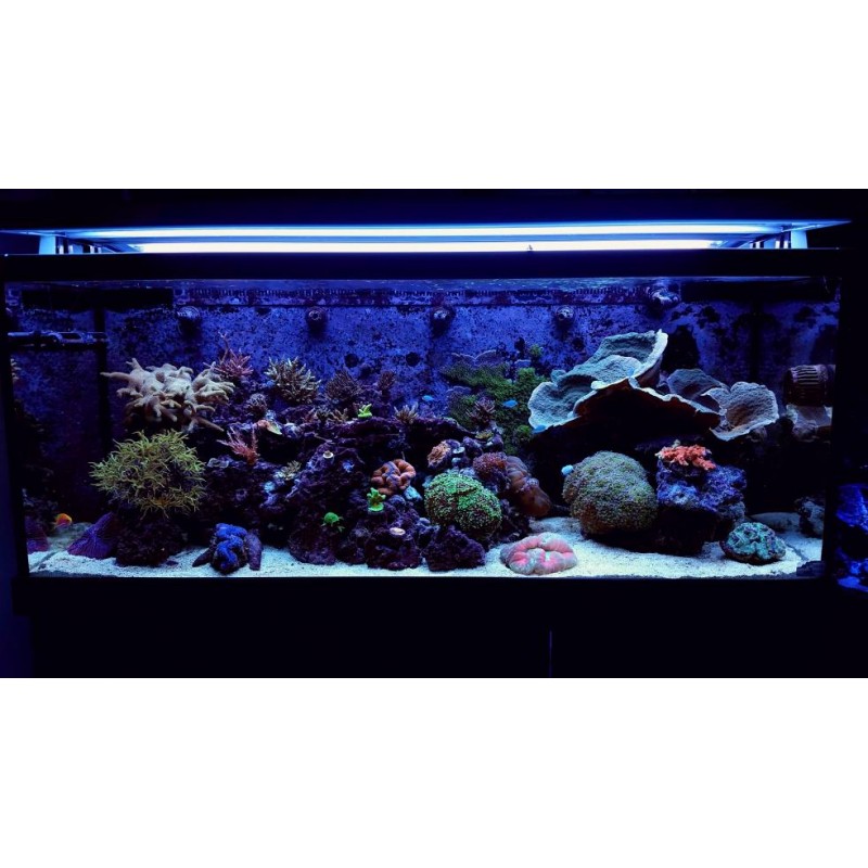 Red Sea MAX S400, LED (Negro)